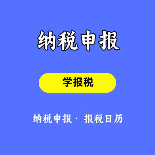 纳税申报基础