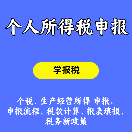 个人所得税申报