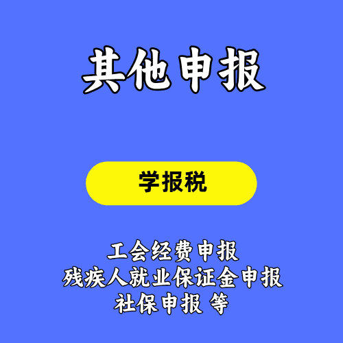 其他涉税申报